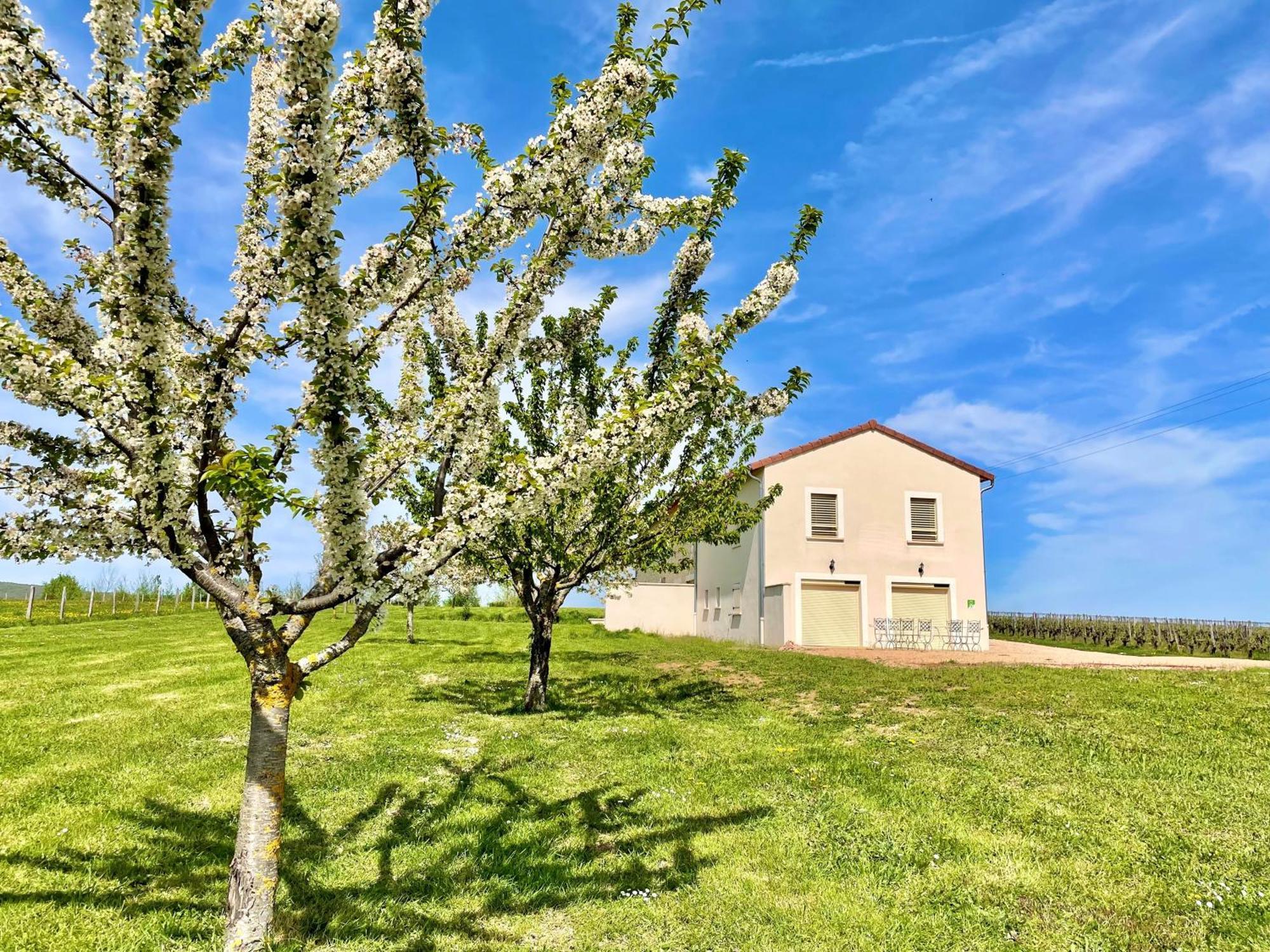 La maison du Négociant Lugny Esterno foto